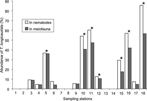 Figure 7. Percent composition of Terschellingia longicaudata in nematodes and meiofauna (*stations with a silty type of sediment).