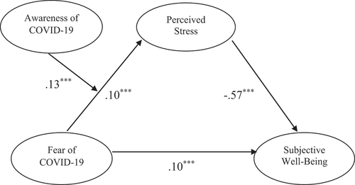 Figure 2. The moderated-mediation mechanism.