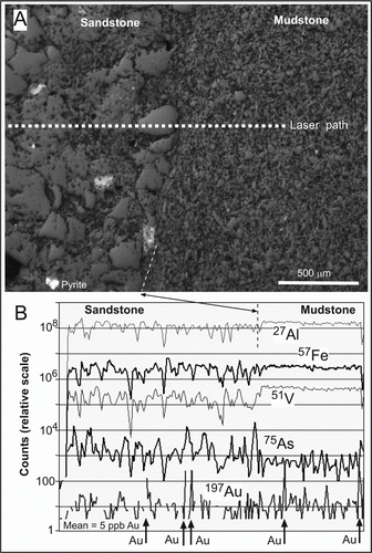 Figure 7  Scanning electron image (upper) of boundary between a sandstone (left) and mudstone (right) across which a LA-ICP-MS scan obtained elemental variations (lower).