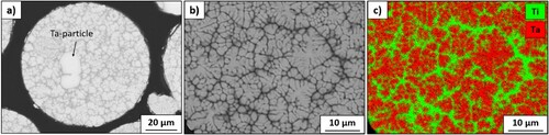 Figure 3. SEM results of pre-alloyed Ti-Ta powder particles: (a,b) Cross-section BSE images recorded at different magnifications and (c) EDS mapping illustrating the element distribution within the area shown in (b).