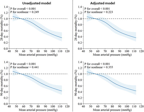 Figure 6. Restricted cubic splines illustrate the outcomes, demonstrating a non-linear association between MAP and both 28-day and 90-day mortality with and without accounting for potential confounding factors. MAP: mean arterial pressure. Hypertension, continuous renal replacement therapy cause, Charlson comorbidity index, acute kidney injury cause, and phosphate were adjusted in the adjusted model of 28- mortality. Hypertension, Charlson comorbidity index, acute kidney injury cause, and phosphate were adjusted in the adjusted model of 90- mortality.