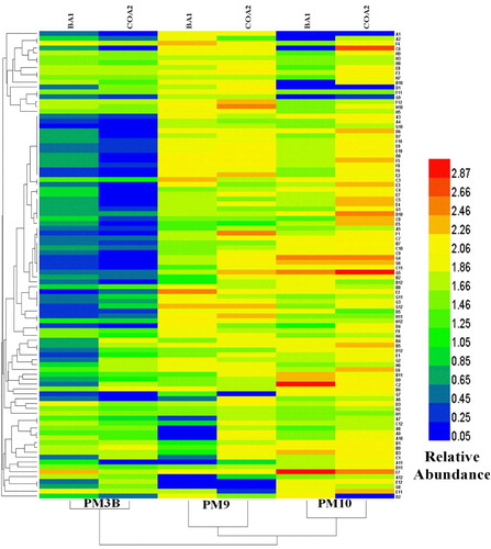 Figure 5. Heatmap graph showing the colored graphical and hierarchical clustering of 95 different substrates utilization (Nitrogen-PM3B), and tolerance (Osmolytes-PM9 and pH-PM10) of K. radicincitans (BA1) and S. maltophilia (COA2) strains. Different colors with relative abundance showing quantitative differences in the growth of both strains.