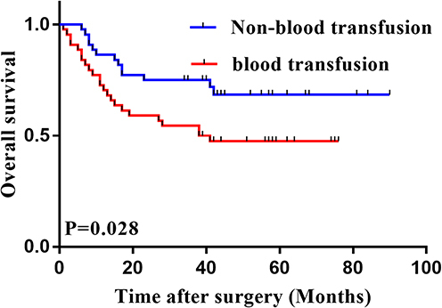 Figure 2 Kaplan–Meier curves for overall survival of blood transfusion and non-blood transfusion groups after PSM: >4 cm subset group.