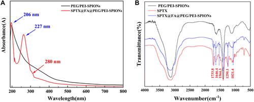 Figure 4 (A) The ultraviolet (UV) and (B) Fourier transform infrared (FTIR) spectra of SPTX@FA@PEG/PEI-SPIONs.
