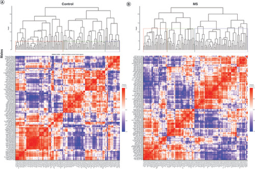 Figure 3. Correlated miRNA–miRNA expression dendrograms and heat maps across three brain regions by maternal separation and sex. Significantly altered interaction effect miRNAs across the prefrontal cortex, amygdala and hippocampus were included in this correlation and hierarchical clustering analysis in R. Correlation heat maps for (A) male controls, (B) male MS, (E) female controls and (F) female MS animals show patterns of miRNA–miRNA correlation across the brain; each of the k = 3 clusters is marked by a colored outline in the dendrogram and height is an arbitrary unit estimating the distance between different clusters. For each group – (C) male controls, (D) male MS, (G) female controls and (H) female MS – significantly correlated miRNAs (false discovery rate <0.05) were narrowed to look across regions. Positive correlations are shown in red and negative correlations in blue; thicker lines indicate a more significant correlation.MS: Maternal separation.
