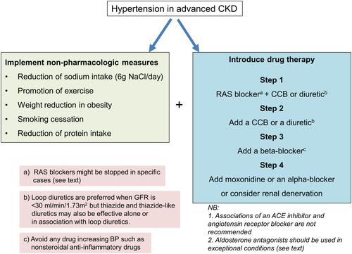 Figure 1 Schematic representation of a possible strategy to manage hypertension in severe CKD.