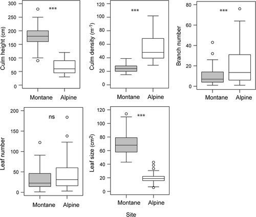 Figure 1. Comparisons of dwarf bamboo shoot performance between montane and alpine sites. Box and whisker plots represent the seventy-fifth, fiftieth, and twenty-fifth percentiles (boxes), with whiskers forming the tenth to ninetieth percentiles. Open circles represent outliers. *** P < 0.001; ns P > 0.10