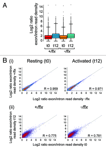 Figure 6. Comparison of RNA splicing in CTNNBL1-proficient and –deficient B cells. (A) Box Whisker plots depicting the distribution of splice indices defined as the ratio of the log2-transformed density of exonic vs. intronic reads per gene. The data include only expressed genes (defined as genes with exon/intron read densities ≥ 1). The boxes indicate the 25th to 75th percentile range with the line across the middle indicating the median and the lines above and below the box indicating the 1st and 99th percentiles. (B) Comparison of the splicing indices of individual expressed transcripts in (i) CTNNBL1-proficient vs. CTNNBL1-deficient B cells in both pre-activation (left) and post-activation (right) samples; (ii) Activated vs. resting B cells in both CTNNBL1-proficient (left) and CTNNBL1-deficient (right) samples. Whereas CTNNBL1 deficiency has no clear effect on individual splicing indices in either resting or activated samples (the correlation between the two genotypes in both sets is > 0.95), cell activation results in many genes giving altered splice indices (R < 0.79). Data on the total expression (as opposed to splicing index) of individual genes in the samples analyzed is provided in Table S1.