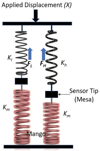 Figure 1. Sensor model.