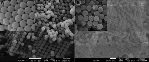 Figure S2 SEM images for colloidal templates of (A) PMMA and (B) PS spheres.Abbreviations: PMMA, poly-(methyl methacrylate); PS, polystyrene; SEM, scanning electron microscopy.
