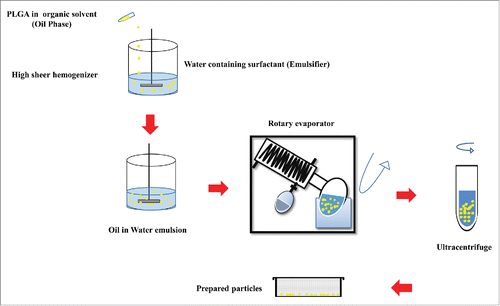 Figure 3. Schematic illustration of the single emulsion evaporation method.