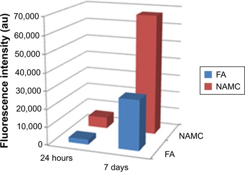 Figure 9 Dental pulp stem cells viability cultured onto flat alumina in comparison with nanoporous alumina-multiwalled carbon nanotubes after 24 hours and 7 days.Abbreviations: FA, flat alumina; NAMC, nanoporous alumina-multiwalled carbon nanotubes.