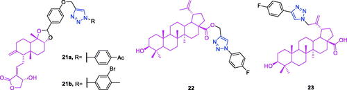 Figure 8. The chemical structures of anti-leukaemia compounds 21–23.