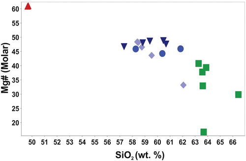 Figure 9. Mg# versus silica for Maungatautari and Kairangi lavas.