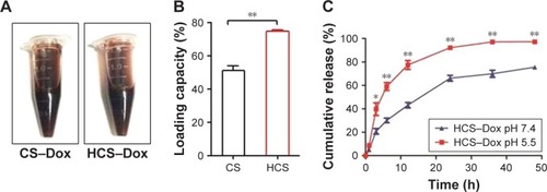 Figure 7 Drug-loading capacity and drug-releasing profile of HCSs. (A) Solid CSs and HCSs loaded with Dox were prepared and photographed. (B) Calculation of the loading percentage of Dox and the difference in loading capacity between CSs and HCSs. HCSs displayed more efficient drug-loading capacity. (C) Measurement of cumulative release of Dox from HCS–Dox evaluated at pH 5.5–7.4. *p<0.05, **p<0.01.Abbreviations: HCS, hollow carbon sphere; CS, carbon sphere; Dox, doxorubicin.