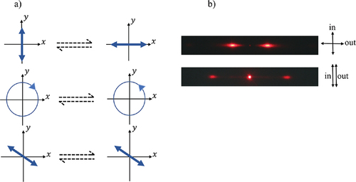 Figure 4. (a) General polarisation properties of first-order diffraction beams: vertically linearly polarised (VLP) incident light has the plane of polarisation rotated by 90 degrees and is horizontally linearly polarised (HLP) after the transition; right circularly polarised light is transformed into left circularly polarised, while diagonally polarised light does not change the plane of polarisation. (b) For VLP and HLP incident light, the plane of polarisation does not change in second-order diffraction beams.