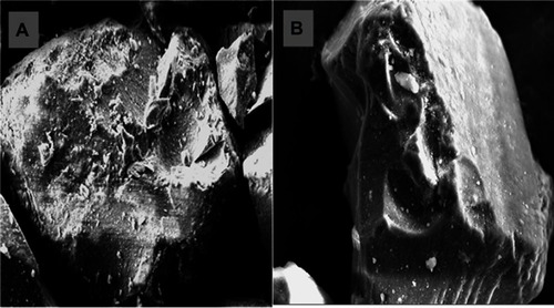 Figure 1 SEM images of (A) Pure SYL (B) S-SNEDDS (L-SNEDDS:SYL ratio, 1:1).Abbreviations: SEM, scanning electron microscopy; SYL, Syloid; S-SNEDDS, solid self-nanoemulsifying drug delivery system; L-SNEDDS, liquid self-nanoemulsifying drug delivery system.