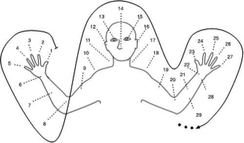 Figura 3. Forma tradicional de representación del cómputo en las comunidades oksapmin.