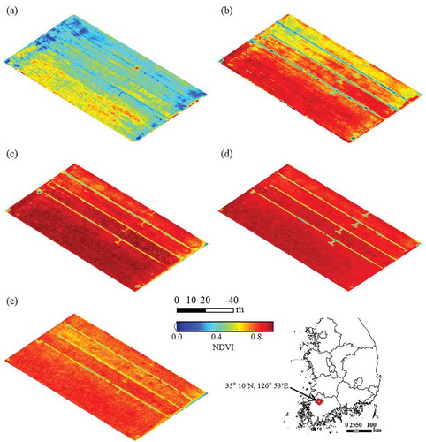 Figure 3. Time series maps (a–e) of the normalized difference vegetation index (NDVI) of paddy rice fields at Chonnam National University, Gwangju, Korea, in 2013. The NDVI maps were generated for several days of the year (DOY): (a) DOY 172, (b) DOY 192, (c) DOY 206, (d) DOY 220, and (e) DOY 233.