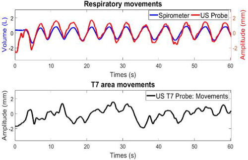 Figure 1. (a) Breathing data from spirometer (blue curve) and ultrasonic probes (red curve); (b) T7 area postural movement from ultrasonic probes.