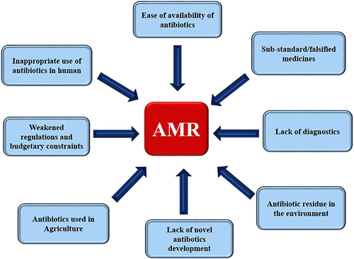 Figure 1 Diagrammatic representation of factors contributing to AMR development.