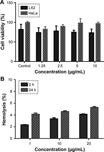 Figure 5 (A) Cell viability assed with the MTS assay after incubation for 24 h with the nanoantibiotic. (B) Hemolytic activity of the nanoantibiotic on RBCs after incubation times of 2 and 24 h.Abbreviation: RBCs, red blood cells.