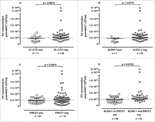 Figure 3. Association between CTC subtypes and EV levels post-NACT. EV concentrations post-NACT were reduced if the following CTC subpopulations were detectable: (A) SL-CTCs, (B) ALDH-1 positive, (C) ERCC1 positive and (D) ALDH-1/ERCC1 positive. Data is shown as EV levels [median (interquartile range) 109/ml] and was evaluated by Mann-Whitney test. The dotted line indicates the cut-off value of 2484 ×109 EVs/ml.