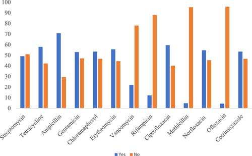 Figure 2 Common antibiotics used by patients.