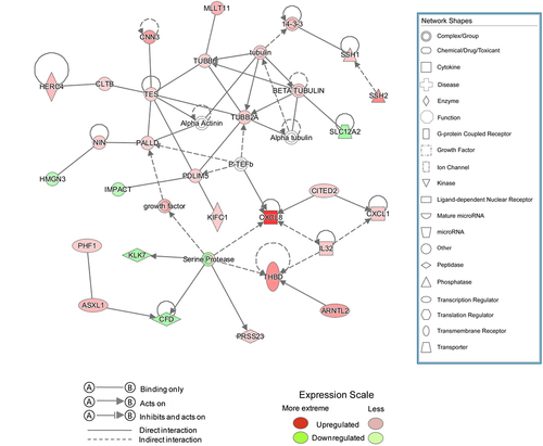Figure 4. Interaction network analysis based on information from the Ingenuity Pathways Knowledge Base. The interaction network graph shows the interactions among molecules in datasets. Genes that are up- or down-regulated are labeled in red and green, respectively.