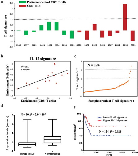 Figure 5. Downregulation of IL12-mediated signal events is associated with worse clinical outcome. (a) T cell signature enrichment of peritumor-derived CD8+ T cells (green) and CD8+ TILs cells (red) from each patient using expression profiles of bulk cells. (b) Correlation of IL-12 signature enrichment between CD8+ T cells and corresponding bulk cells. P value and coefficient of correlation were calculated using spearman’s rank correlation. (c) Scatter plot of T cell signature enrichment of TCGA samples included in survival analysis (N = 124). (d) Expression levels of IL-12 signature in HCC tissues and paired peritumor tissues from TCGA data set (N = 50). P values were evaluated by Wilcoxon matched-pairs singed rank test. (e) Kaplan–Meier plot of HCC patients stratified by IL-12 signature expression levels (N = 124). Patients expressing higher levels (higher than 75th percentile) of IL-12 signature had better disease-free survival than other patients (log-rank P = 0.021).