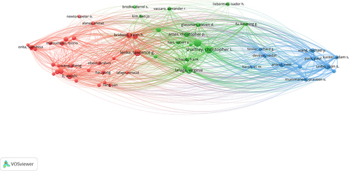 Figure 8 Co-occurrence network map of authors.
