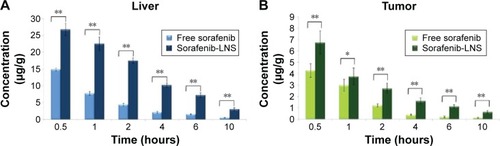 Figure 7 Distribution of sorafenib in liver and tumor tissues after IV administration of sorafenib or sorafenib-LNS to mice.Notes: (A) Distribution of sorafenib in liver after IV administration of sorafenib or sorafenib-LNS to mice and (B) distribution of sorafenib in tumor tissues after IV administration of sorafenib or sorafenib-LNS to mice. Data are presented as the mean ± SD (n=3). *P<0.05; **P<0.01.Abbreviations: IV, intravenous; sorafenib-LNS, sorafenib-loaded lipid-based nanosuspensions.