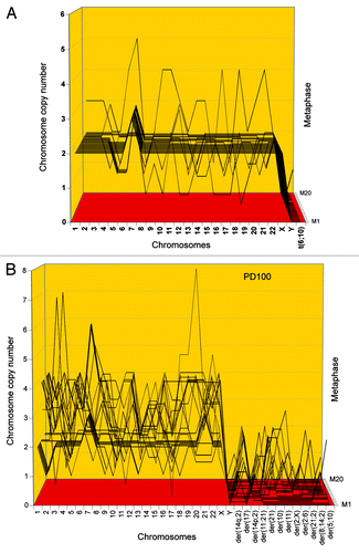 Figure 4. Aneuploidy among karyotypes of 20 human cen3tel skin cells 37 (A) and 100 (B) generations after transfection with overexpressed telomerase. The 20 karyotypes were arrayed as described for Figure 2. The data show that 60% of the cen3tel cells were randomly aneuploid 37 generations after transfection (Table 2), and that 100% were randomly aneuploid 100 generations after transfection (Table 3). Moreover, the data show that the degree of aneuploidy increased sharply from generation 37 to generation 100 after transfection. The partial clonality of trisomy 7 was native of the cen3-skin biopsy studied here (see text).