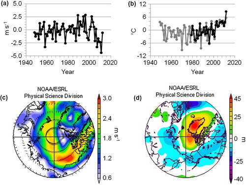 Fig. 2 Recent change in the Beaufort Sea. (a) US National Centers for Environmental Prediction/National Center for Atmospheric Research reanalysis data set (NNR) 925-hPa zonal wind anomaly (June–August) over the Beaufort Sea between 70 and 75°N, for the period 1948–2012. (b) Surface temperature anomaly at freeze-up (October) for the same time/region. The black line indicates the 1000-hPa over-ocean temperature from the National Centers for Environmental Prediction—Department of Energy Reanalysis 2 data set and for comparison the grey line is the Barrow temperature record from the Global Historical Climatology Network (Menne et al. Citation2012). (c) The 925-hPa vector wind anomaly over the Arctic since 2007, showing peak values over the Beaufort Sea. (d) An intensified Beaufort High as indicated by the 925-hPa geopotential height anomaly for the same interval. Anomalies are all based on the 1981–2010 standard climatology, and computed using the online utility (http://www.esrl.noaa.gov/psd/) of the Physical Sciences Division, Earth System Research Laboratory, National Oceanic and Atmospheric Administration.