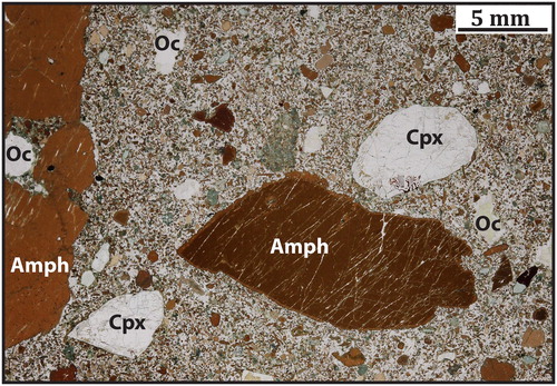 Figure 3. Representative thin section of WDS samples (specifically from sample KST-2). The photo shows two amphibole megacrysts (Amph), as well as epidote ± carbonate ocelli (Oc) and rounded clinopyroxene grains (Cpx) in an amphibole + plagioclase + epidote + chlorite + opaque phase groundmass. Anhedral >1 mm sized zoned amphibole grains are interpreted to represent megacryst fragments.