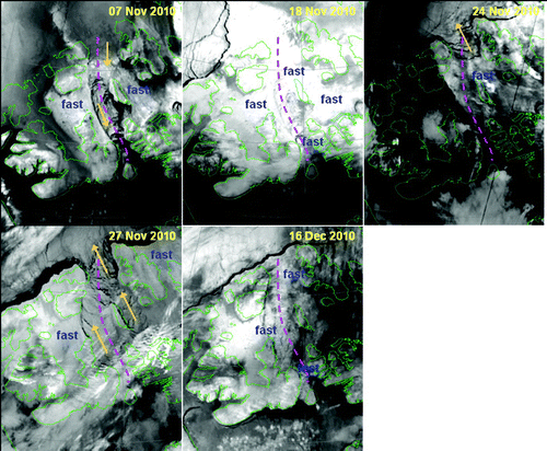 Fig. 5 A time series of NOAA AVHRR infrared images showing the progression of fast ice formation in the corridor between the Prince Gustaf Adolf Sea and Byam Martin Channel (highlighted with a pink dashed line) in 2010. Yellow-orange arrows indicate the direction of ice drift.