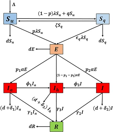 Figure 1. Flow diagram of model (Equation1(1) dSudt=Λ−λSu−dSu−qSu+ζSq,dSqdt=qSu+(1−p)λSu−(ϵqλ+ζ+d)Sq,dEdt=pλSu+ϵqλSq−(α+d)E,dIadt=p1αE−(δ1+ϕ1+γ1+d)Ia,dIdt=p2αE−(δ2+ϕ2+γ2+d)I,dIhdt=(1−p1−p2)αE+ϕ1Ia+ϕ2I−(δ3+γ3+d)Ih,dRdt=γ1Ia+γ2I+γ3Ih−dR,(1) ).