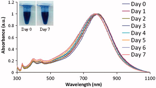Figure 3. The silver nanoparticles are stable in water over a 7-day period, as observed by measuring shifts in the optical spectrum each day and by observing that no precipitation on the nanoparticles occurred as shown in the inset in the figure. Day 0, 792 nm; day 1788 nm; day 2, 782 nm; day 3, 780 nm; day 4, 776 nm; day 5, 774 nm; day 6, 774 nm; day 7, 774 nm; total shift is 18 nm and then it stabilised at day 5, with no further shifting. a.u.: Arbitrary units.
