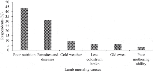 Figure 4. Causes of lamb mortality.