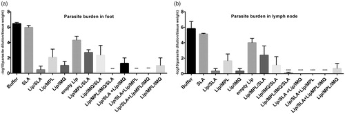 Figure 3. Foot and lymph node parasite burden in BALB/c mice immunized SC, three times in two week intervals with buffer, SLA, empty Lip, Lip / SLA, Lip/MPL, Lip/IMQ, Lip/MPL/SLA, Lip/IMQ/SLA Lip/MPL/IMQ/SLA, Lip/SLA + Lip/IMQ, Lip/SLA + Lip/MPL, Lip/SLA + Lip/MPL/IMQ, and Lip/MPL/IMQ after challenge with L. major promastigotes. A limiting dilution analysis was performed 7 weeks after challenge on the cells isolated from footpad and lymph node of individual mice and cultured in triplicate in eight serial dilutions. The number of viable parasite per tissue was determined by the following formula: −log10 (parasite dilution/tissue weight). The bar represent the average score ± SEM (n = 2). ****p < .0001, ***p < .001 when the immunized mice compared with mice received buffer. (a) Represents parasite burden in foot and (b) represents parasite burden in lymph node.