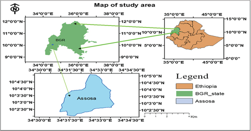 Figure 1. Map of the study area (Assosa city).