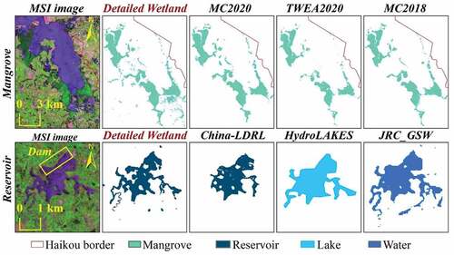 Figure 6. Comparison between mangroves and reservoirs of detailed wetland types with other datasets in the example areas in Haikou in 2020.