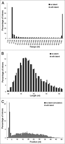 Figure 1. Simulation of search for latent 5′SSs in introns lacking latent sites. C. elegans introns of the data base were divided into introns lacking latent 5′SSs and those with at least one latent 5′SS. (A) Length distribution of introns lacking latent 5′SSs (black) and introns having latent sites (gray). The length distribution is presented in groups of 20 nt. The last right column depicts introns longer than 500 nt. Introns having latent sites clearly tend to be much longer than the ones lacking such sites. (B) Length distribution of introns lacking latent 5′SSs (black), and having such sites (gray), for introns of length 40–61 nt is depicted. (C) Distribution of the location of the latent 5′SSs (measured from the authentic 5′SS, in nt) in introns of 40–61 nt length (gray), compared with the locations selected by the simulation for introns lacking latent 5′SSs (black). For the simulation, the average percentage, of 10,000 repeats, as well as the standard deviation, are presented. It is clear that choosing the group of introns of length 40–61 nt overcomes the length bias that exists in the general introns population, and that the simulation mimics well the real situation.