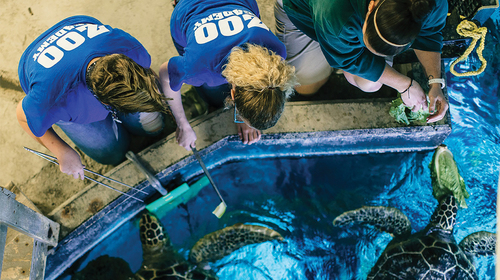 Omaha’s Henry Doorly Zoo and Aquarium and the Omaha Public School District partnered to form the Zoo Academy, a school-within-a-zoo model that relies on the successful collaboration between an informal science education organization and a school district.