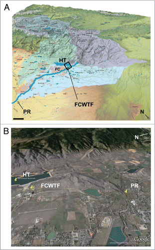 Figure 4 Locations of the Cache La Poudre river, Horsetooth reservoir and the Fort Collins Water Treatment Facility in the South Platte river basin watershed. (A) Map showing the South Platte river basin watershed. Cache La Poudre river (PR) and Horsetooth reservoir (HT) are shown 2X scale for clarity. The Colorado-Big Thompson western slope watershed, which feeds HT, is shown in dark blue (top left watershed on the map). The Cache la Poudre watershed is shown in purple (top right watershed). FC, city of Fort Collins; FCWTF, Fort Collins water treatment facility; HT, Horsetooth reservoir; N, north. Scale bar, 10 km. (B) Satellite map of the boxed area in (A) shows the relative locations of PR, HT and FCWTF in more detail.Citation48 Scale bar, 1 km.