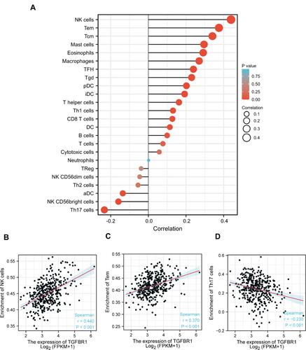 Figure 8 Immune cell infiltration analysis of TGFBR1 in the TCGA-STAD. (A) The forest plot shows the correlation between TGFBR1 expression level and 24 immune cells. (B) The correlation between TGFBR1 expression and NK cells. (C) The correlation between TGFBR1 expression and Tem. (D) The correlation between TGFBR1 expression and Th17 cells.