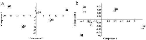 Figure 6. Results of two principal components analysis comparing total phenolics, flavonoids, tannins, anthocyanins, carotenoids, and vitamin C for fruits of Malpighia umbellata in five stages of maturity (S1–S5) (a), and comparing the concentration of each individual phenolic compound found in the fruits of M. umbellata in the same five stages of maturity (b). The results were generated from variance–covariance matrixes.Figura 6. Resultados de dos análisis de componentes principales comparando los contenidos de fenoles totales, flavonoides, taninos, antocianinas, carotenoides, y vitamina C de los frutos de Malpighia umbellata en cinco estados de madurez (S1–S5) (a), y comparando la concentración de cada compuesto fenólico individual encontrado en los frutos de M. umbellata en los mismos cinco estados de madurez (b). Los resultados se generaron a partir de matrices de varianza-covarianza.