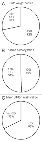 Figure 5 Characteristics of the autosomal CpG sites associated with (A) birth weight centile, (B) plasma homocysteine and (C) mean LINE-1 methylation. Pie charts show proportion of associated CpG sites located within (CGI) and outside CpG islands (non-CGI).