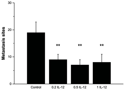 Figure 1 0.2 μg, 0.5 μg or 1 μg IL-12 treatment decreased the number of metastasis sites in the liver.