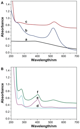 Figure 5 Ultraviolet-visible spectra for (a) Fe3O4, (b) Au, (c) Fe3O4/Au, (d) Ab2, (e) HRP, and (f) Fe3O4/Au-HRP-Ab2.Abbreviations: HRP, horseradish peroxidase; Ab2, secondary antibody.